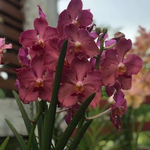 Meet your Posher, Jean